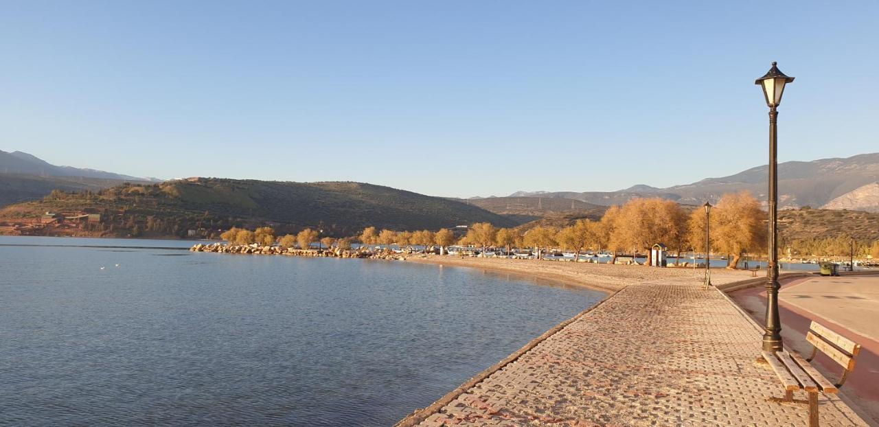 Beach House In Itea-Delphi Εξωτερικό φωτογραφία